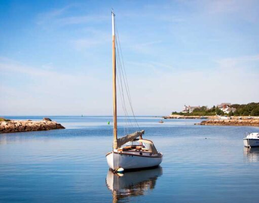 Unique Elephant Experience