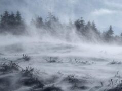 ANM ridică gradul de alertă: Cod Portocaliu de vânt puternic, pentru zona de munte din două județe