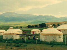 Nomad Ecovillage: Povestea primului sătuc ecologic mobil din România