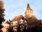 Inconștiență la volan în Bistrița. Un buștean uriaș, plimbat pe asfalt printre mașini