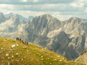 Alertă imediată de ninsori și vânt puternic în 7 județe