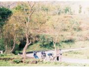 Share a tip on a trip to Spain