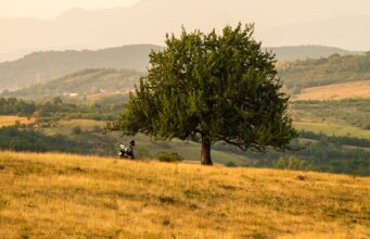 Tot mai mulți lideri PSD cer un nou premier sau trecerea în opoziție