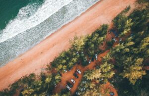 ‘No cars, unspoilt beaches and seabirds rule’: readers’ favourite European island escapes