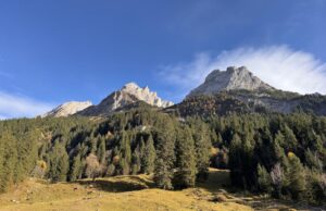 ‘In Switzerland, it’s possible to sledge between two railway stations’: readers’ favourite family adventures in Europe