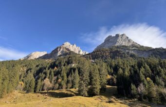 ‘In Switzerland, it’s possible to sledge between two railway stations’: readers’ favourite family adventures in Europe