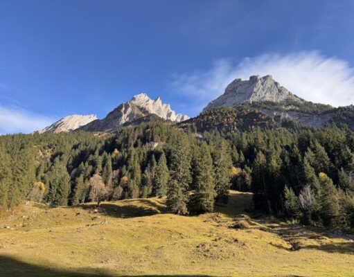 ‘In Switzerland, it’s possible to sledge between two railway stations’: readers’ favourite family adventures in Europe