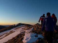 ‘Avignon warmed our bones and fed our souls’: readers’ favourite early spring trips to southern Europe