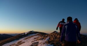 ‘Avignon warmed our bones and fed our souls’: readers’ favourite early spring trips to southern Europe