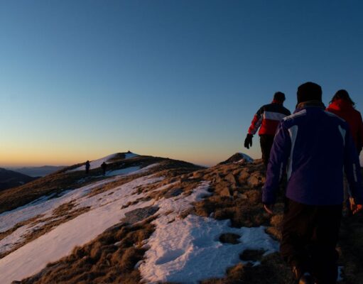 ‘Avignon warmed our bones and fed our souls’: readers’ favourite early spring trips to southern Europe