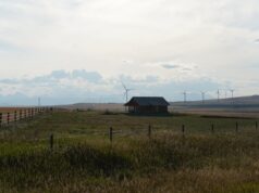 The Best Airbnbs in Milos for a Greek Island Getaway