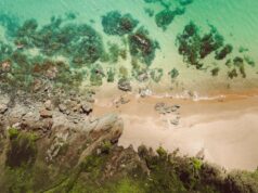 The Best Airbnbs in Costa Rica Near Sea Turtle Nest Sites, Iconic Surf Breaks, and Lush Jungle