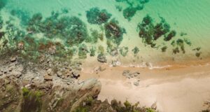 The Best Airbnbs in Costa Rica Near Sea Turtle Nest Sites, Iconic Surf Breaks, and Lush Jungle