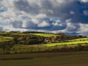 9 Books Our Editors Couldn’t Put Down This Season