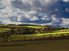 9 Books Our Editors Couldn’t Put Down This Season