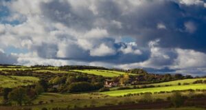 9 Books Our Editors Couldn’t Put Down This Season