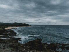 Traveling to Hawaii After the Floods—What to Know and How to Help