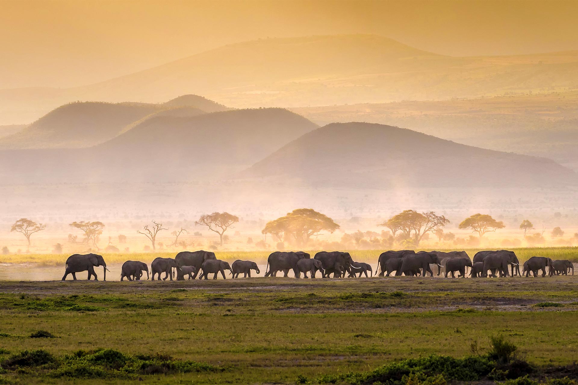 Safari în Kenya: Aventura din Via Lactee a Africii în August 2025