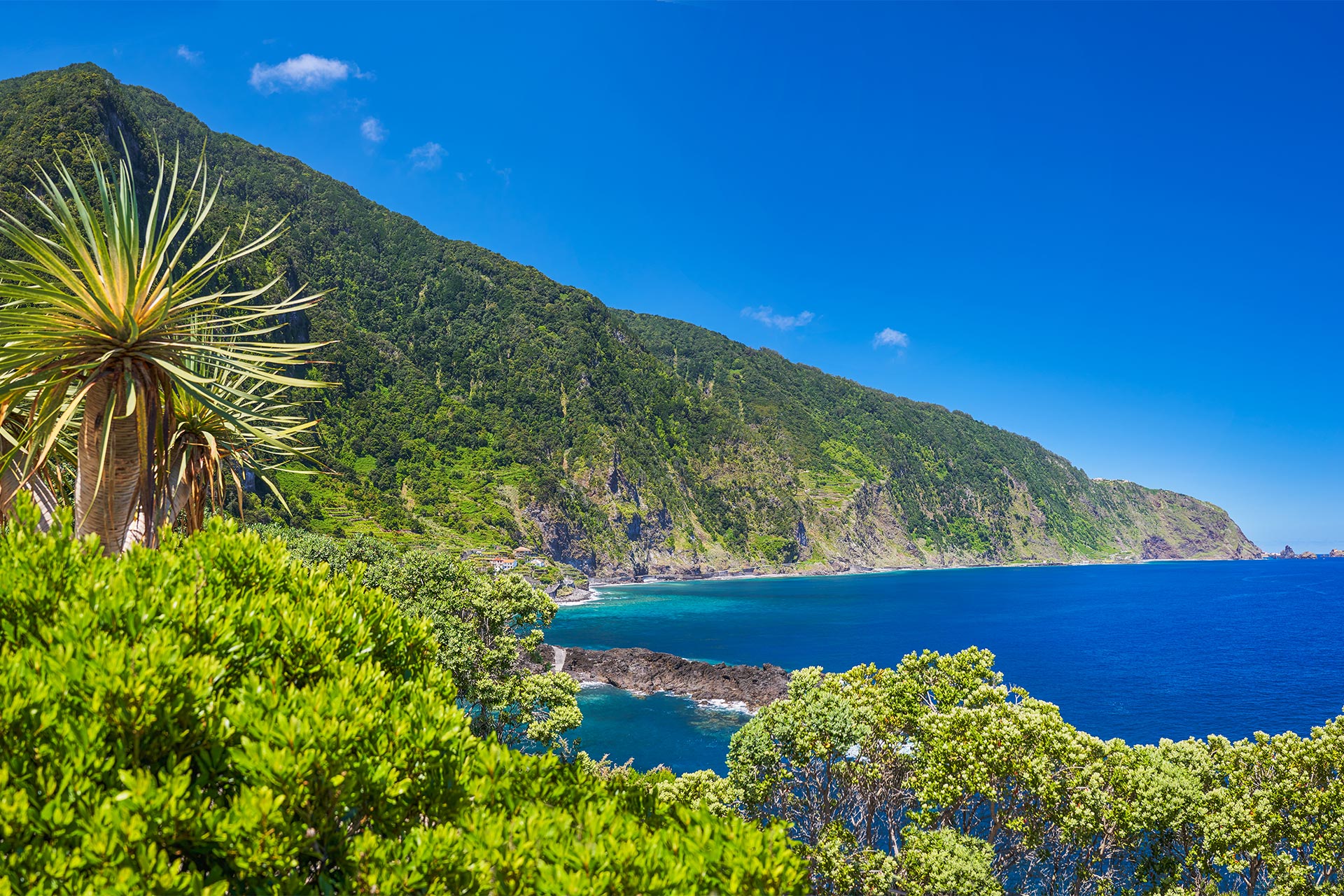 Madeira: Paradisul Portughez te așteaptă în iunie!