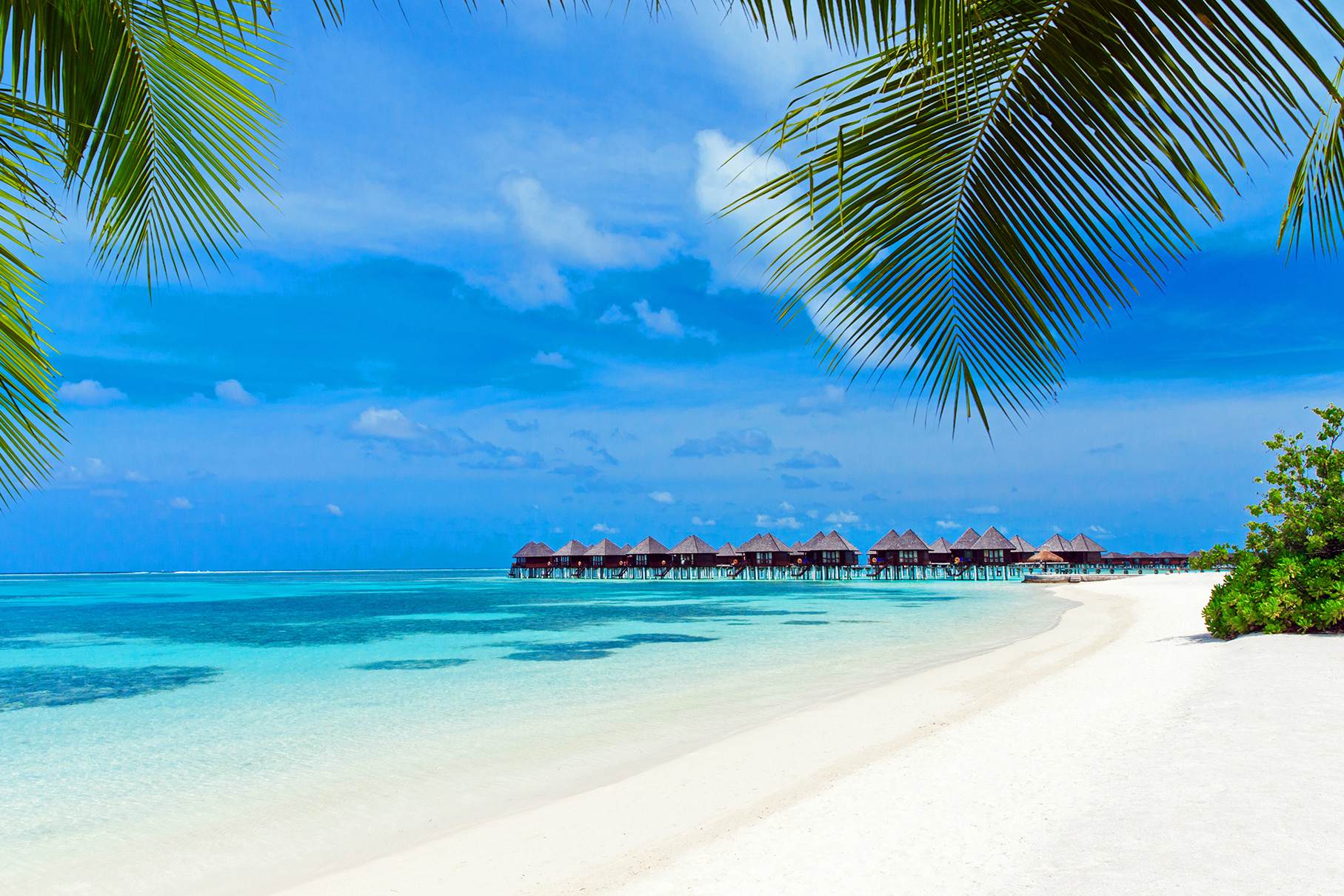 Maldive în februarie 2026: Paradisul tropical te așteaptă!
