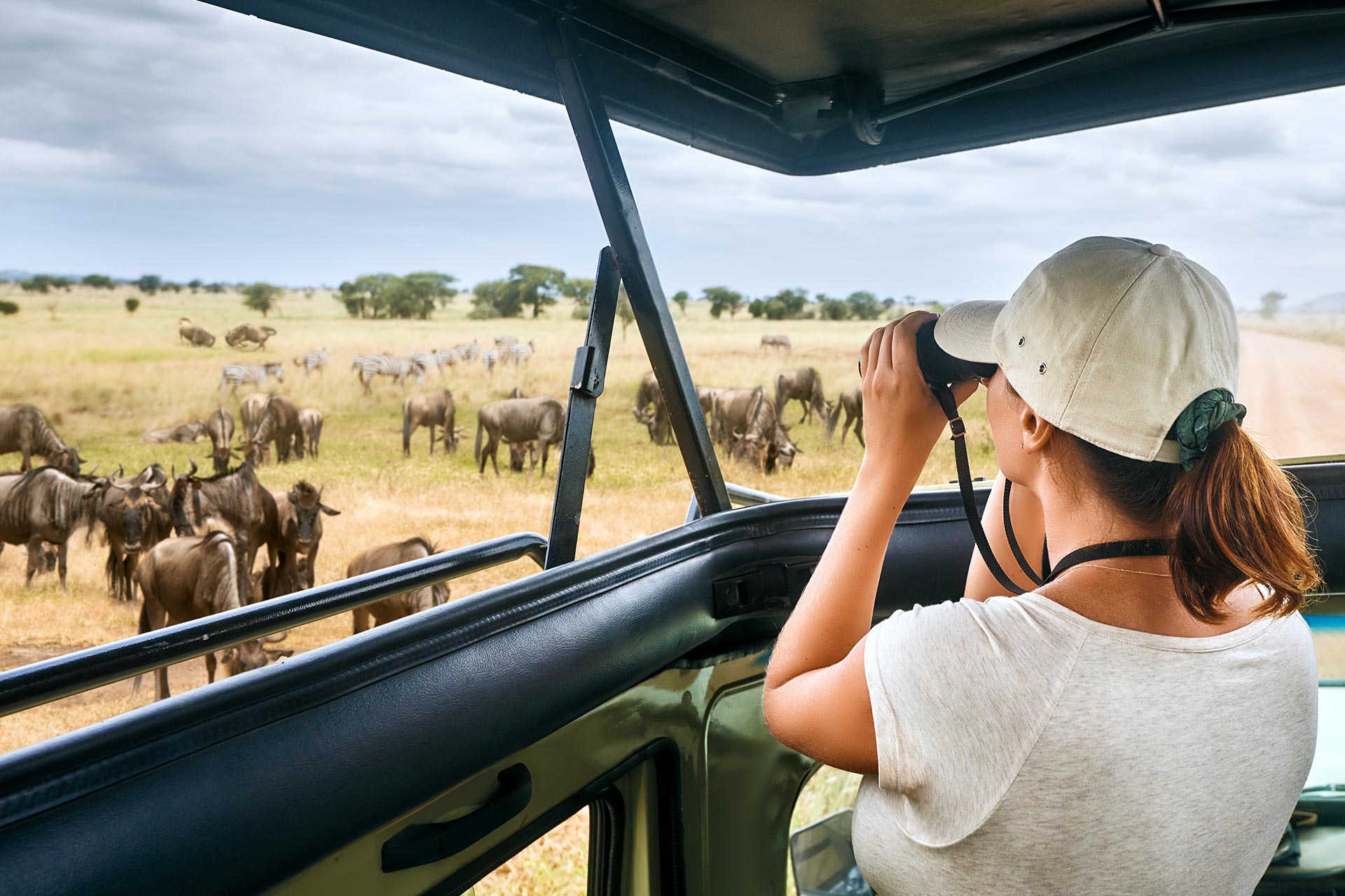 Safari în Kenya și plaje paradisiace: 9 zile de magie africană