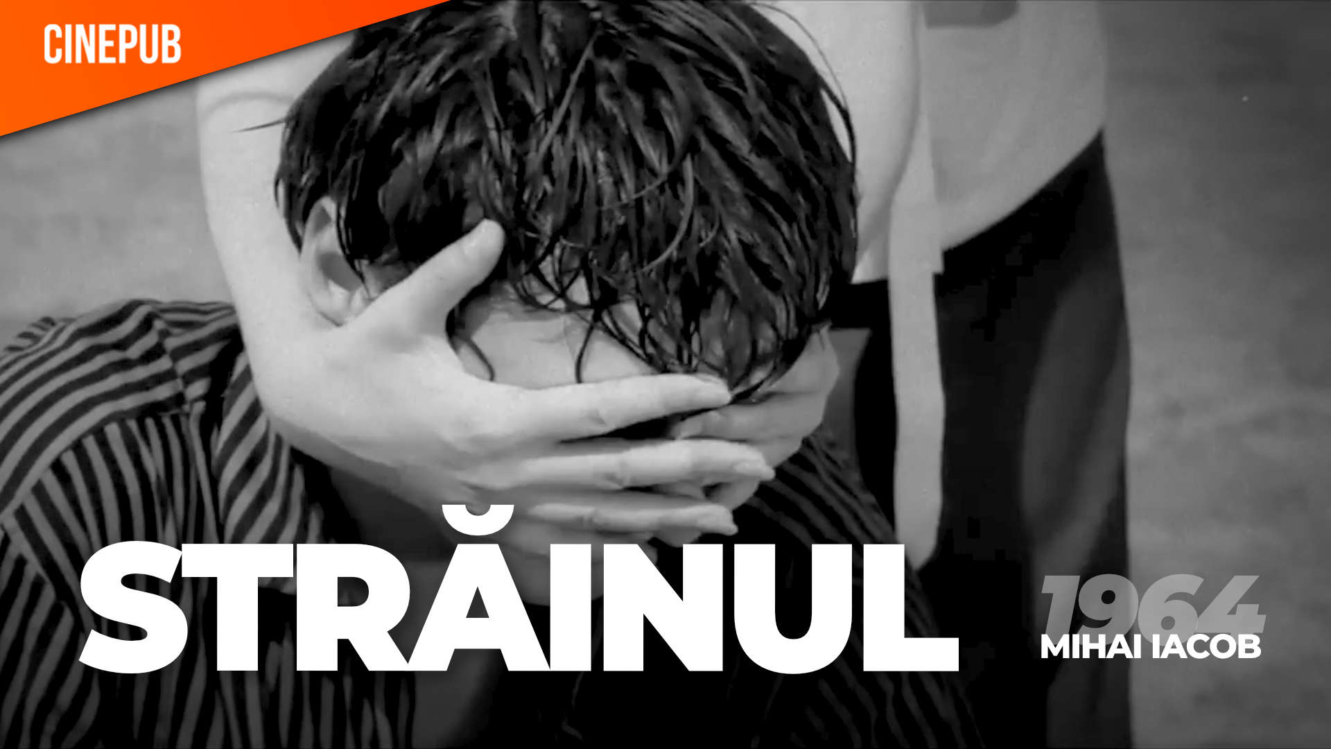 Propaganda la superlativ: O lecție de cinema despre istoria secolului XX