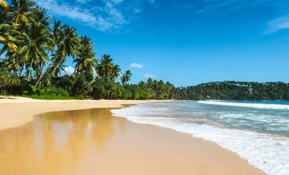 Sri Lanka & Sejur la Plajă: Paradisul Insulei Cerului te Așteaptă!